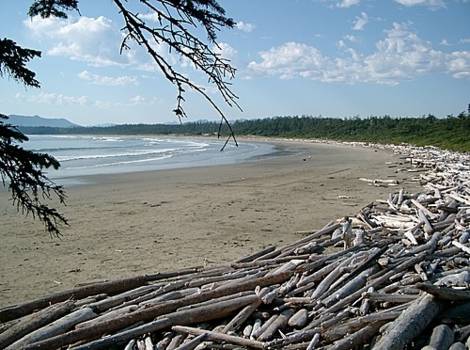 Vancouver Island - Longbeach