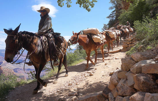 Verenigde Staten - Naar de bodem van de Grand Canyon
