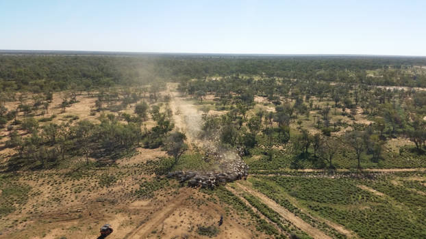 Niagara Falls - Working in the outback of australia