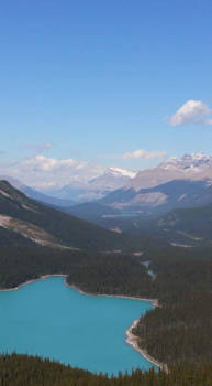 Lake Peyto - Lake Peyto Canada