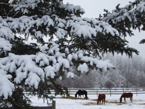 Canada - wonder der natuur