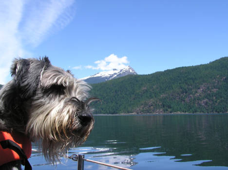 Vancouver Island - Desolation Sound