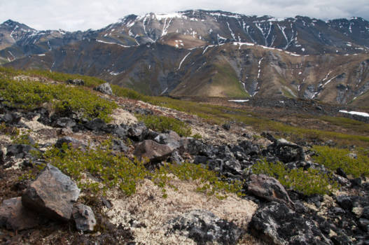 Canada - Wandeling nabij Dawson City, uitzicht op panorama's