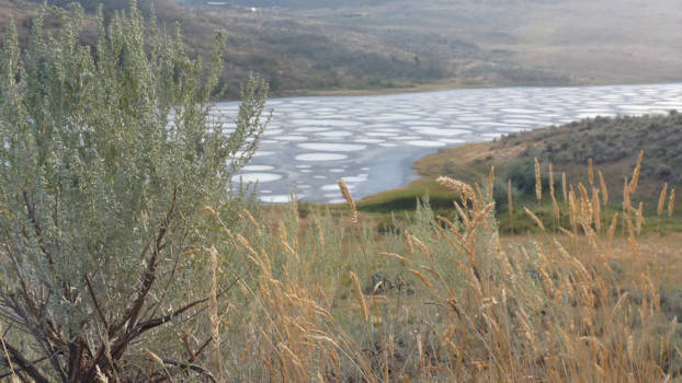 Canada - Spotted Lake