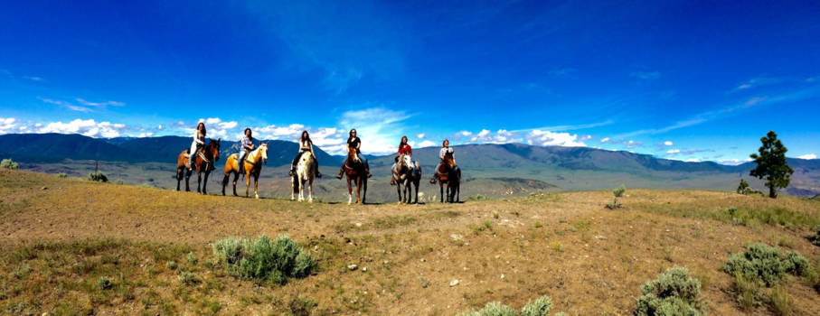 Canada - Rainbow of horses