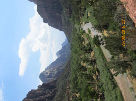 Verenigde Staten - Zion National Park