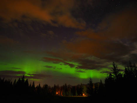 Jasper National Park - Colours of nature