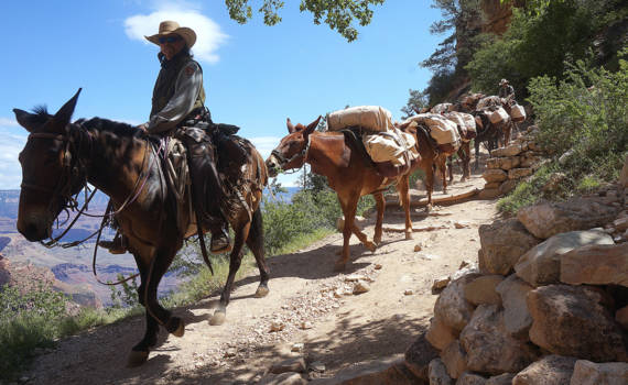 Verenigde Staten - Naar de bodem van de Grand Canyon