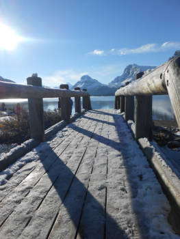 Canada - Bow lake