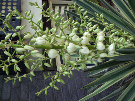 Canada - Op vakantie in Geboorteland