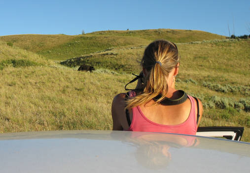 Verenigde Staten - Op zoek naar de zwarte beer.