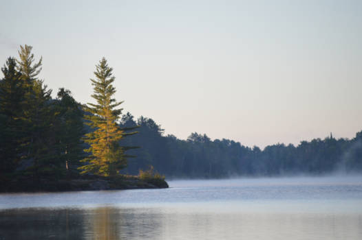 Algonquin provincial park - Zonsopgang
