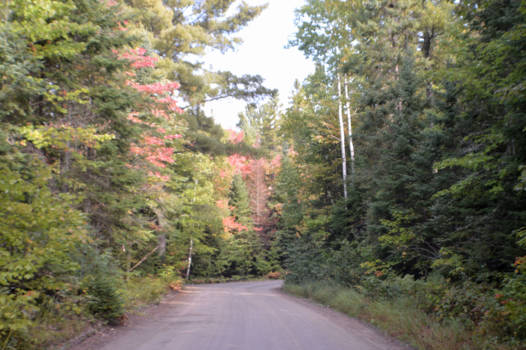 Algonquin provincial park - Zijweg naar meer
