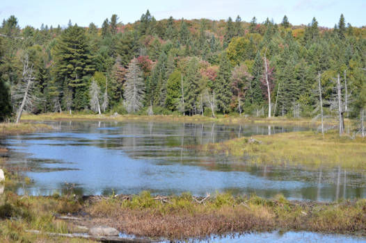 Algonquin provincial park - Overal meren