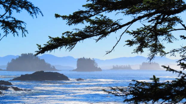 Vancouver Island - Heerlijk gewandel langs de Wild Pacific Trail op Vancouver island.