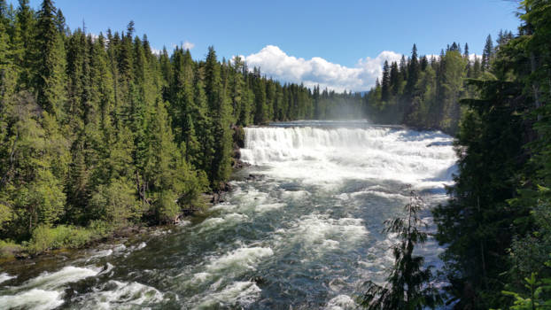 Clearwater - Dawson Falls