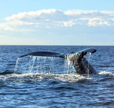 Canada - WoW moment!