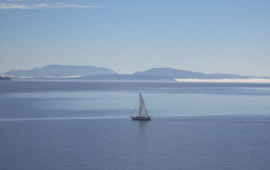 Vancouver - Met de ferry naar Vancouver Island