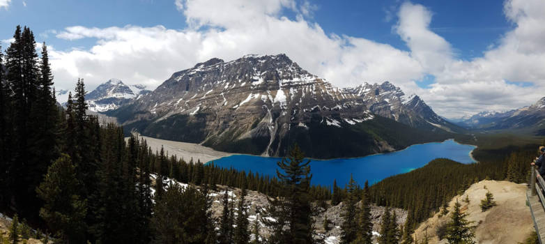 Banff National Park - Peyto Lake