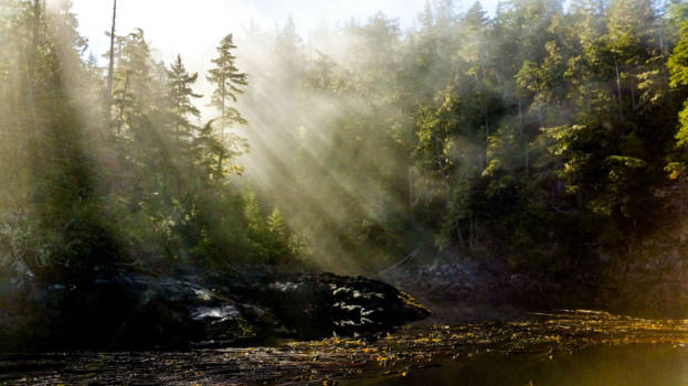 Canada - Wasvissentocht