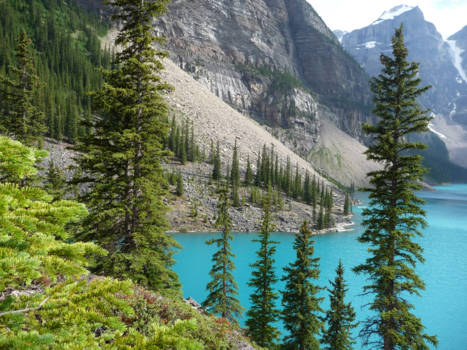 Lake Louise - Lake Louise