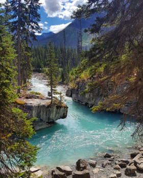 Canada - De prachtige Marble Canyon