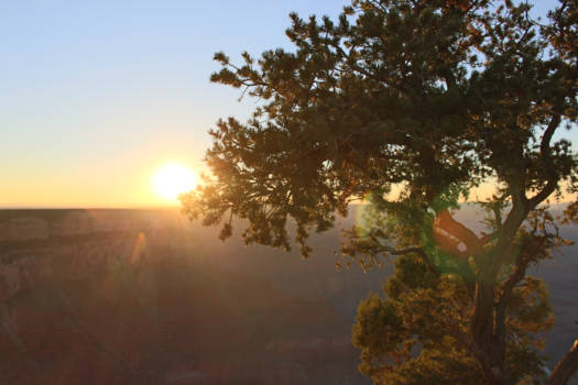 Grand Canyon - Sunset in the Grand Canyon