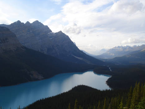 Lake Peyto