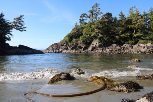 Canada - Puur natuur!!