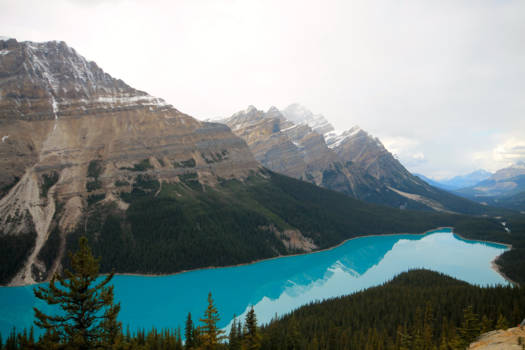 Jasper National Park - Peyto Lake
