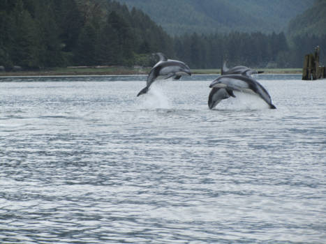 Canada - 1 foto, gemaakt met canon powershot sx210IS