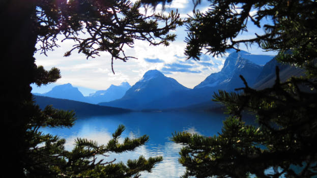 Banff National Park - Onderweg op de Icefields Parkway