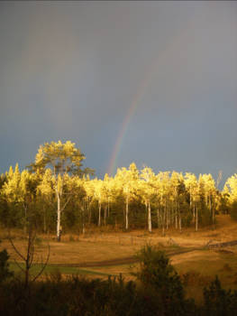 Canada - Cariboo, B.C.