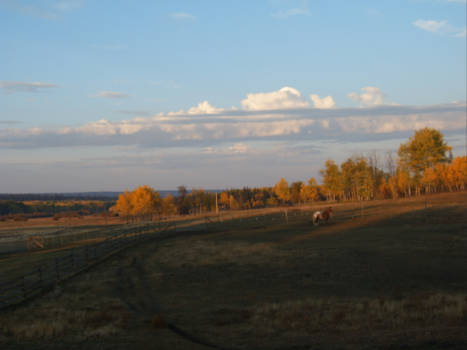 Canada - 100 mile house British columbia