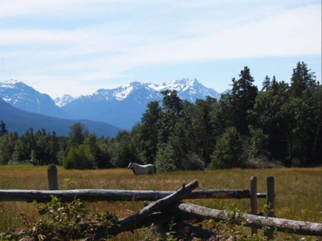 Canada - Chilcotin, B.C.