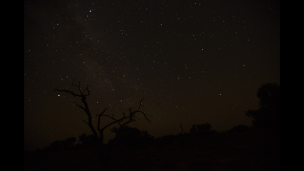 Toronto - Ik kan uren staren naar zo'n heldere sterrenhemel