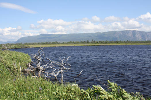 Newfoundland - Gros Morne