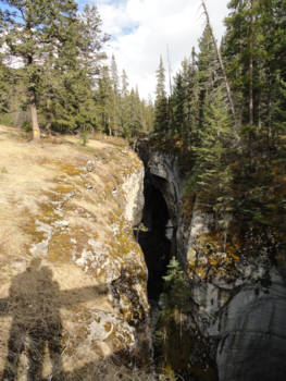 Jasper National Park - Genieten van de natuur bij de Maligne Canyon Canada