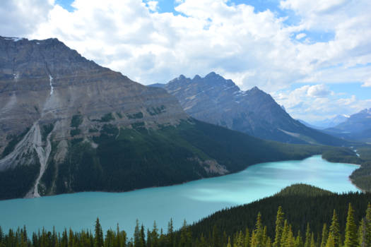 Lake Peyto - Lake Peyto