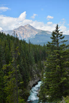 Banff National Park - Maligne canyon