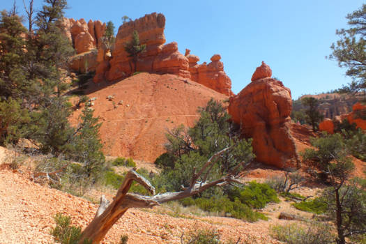 Verenigde Staten - Het vergeten park, Zion NP
