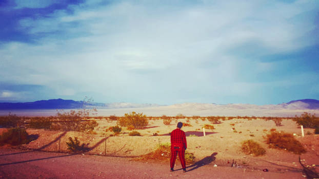 Verenigde Staten - Nevada staring contest