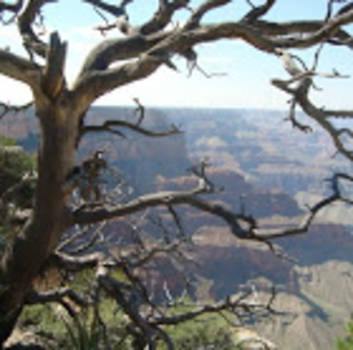 Grand Canyon - Window to the world