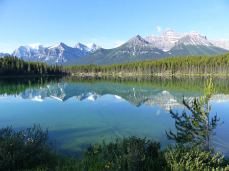 Jasper National Park - Ochtend in de Rockeys
