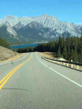 Canada - Mooie ritten door de Rocky Mountains