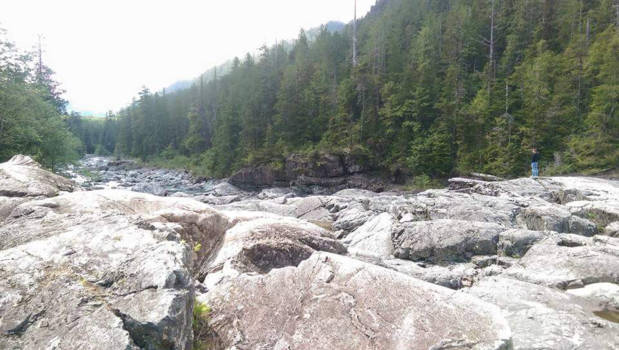 Vancouver - In west Canada krijgt je weer ontzag voor moeder natuur en voel je je weer nietig!