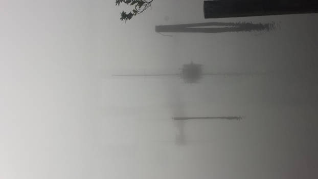 Vancouver Island - misty morning, Tofino