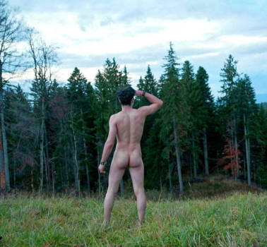 Canada - Forest under Full Moon