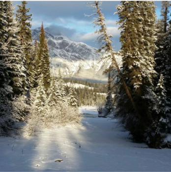 Jasper National Park - Old ford point trail
