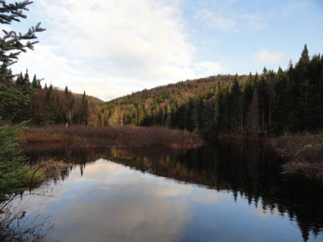 Québec - Genieten van de herfst in Parc national de la Jacques-Cartier